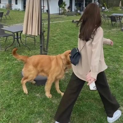 红色家族
